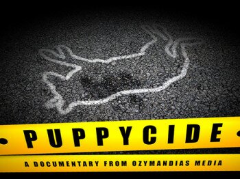 Puppycide